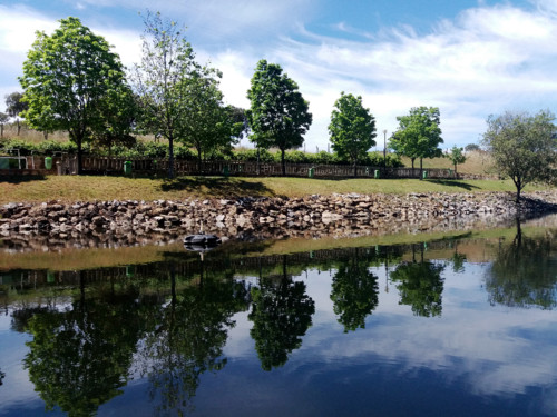 20170501_142708.jpg 20170501_142708.jpg