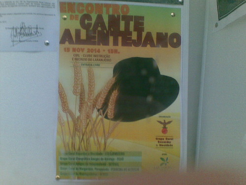 Cante Laranjeiro Foto de F.M.C.L.