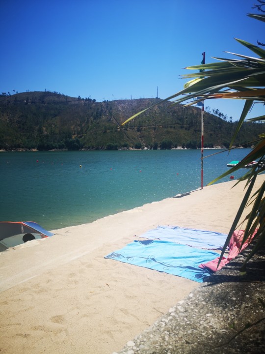 IMG_20200708_130851.jpg IMG_20200708_130851.jpg