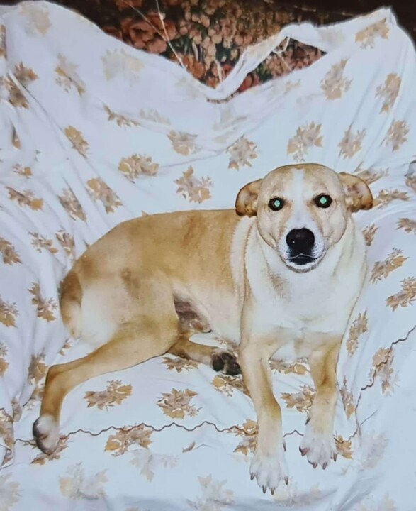 CamScanner 04-17-2021 23.49_11.jpg