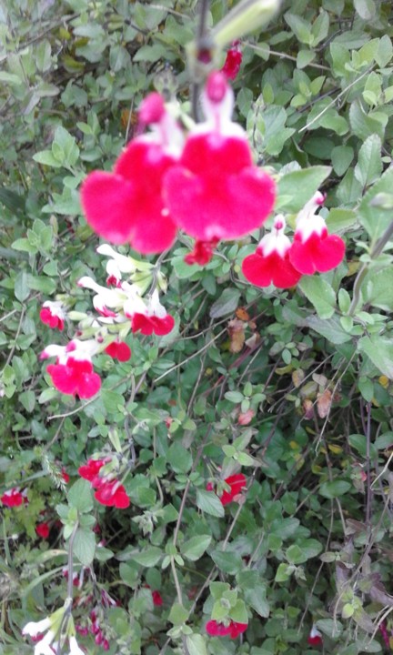 Foto Original. 2020. 04. jpg