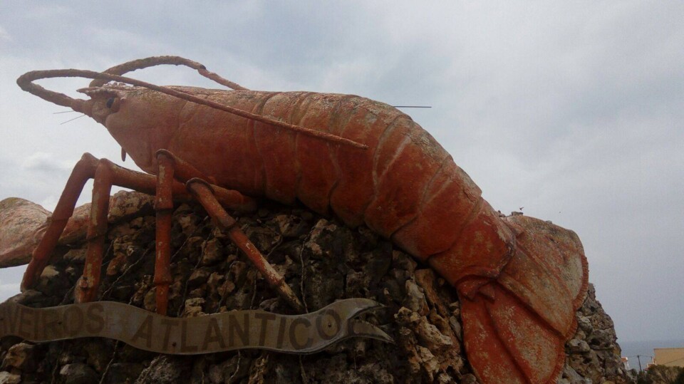 31070854_1812753682089524_5924956300214534144_n.jp