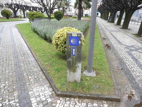 22b_Albergaria-a-Velha (6).JPG