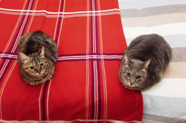 257968840_3188483608090428_8142363311890675658_n.j