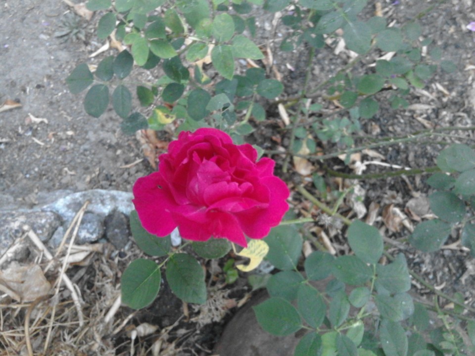 Foto Original. 2018. 07.jpg