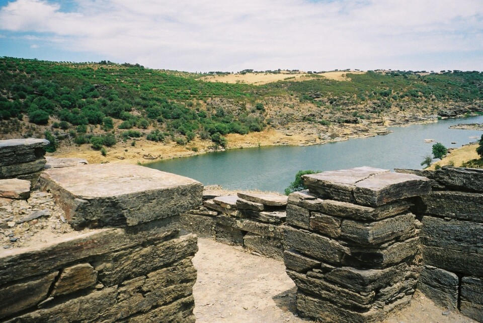 descarregar (1).jfif