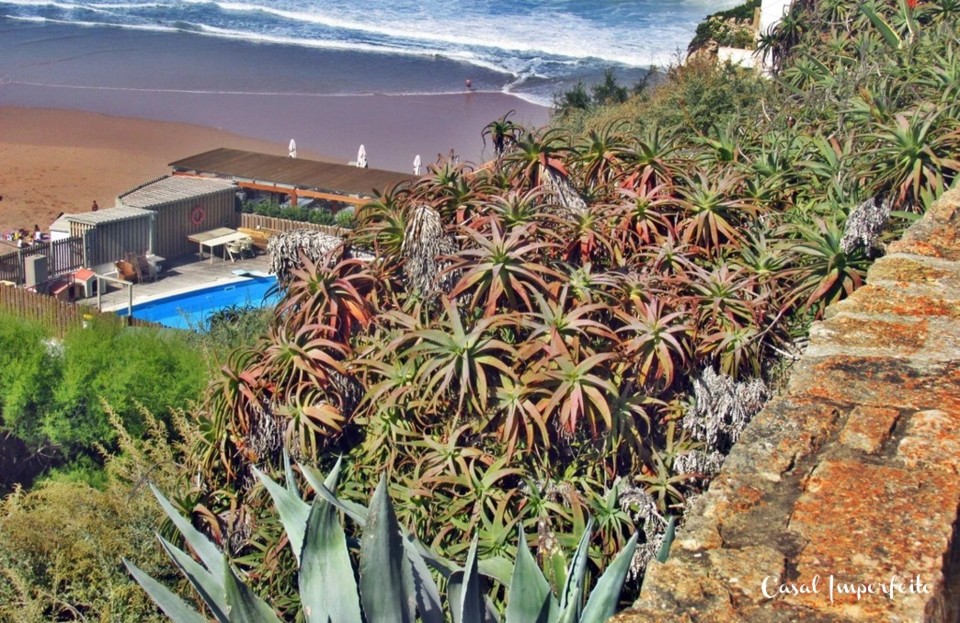 13_02_2022 12_25_28.jpg