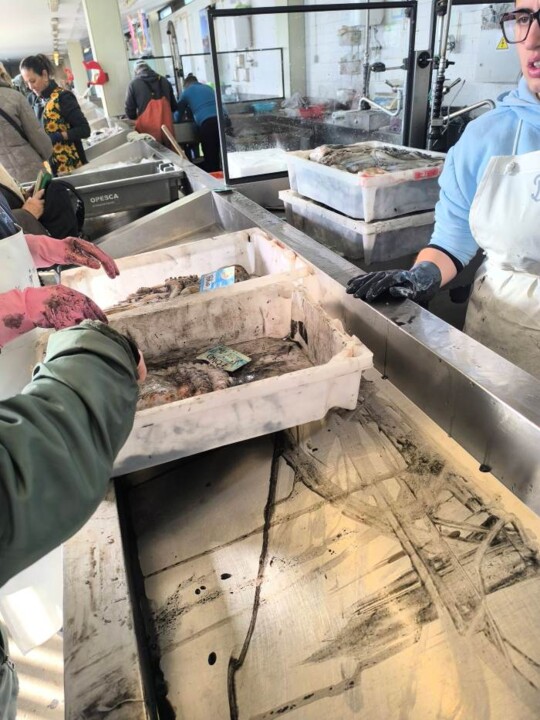 605621045_2732979007037688_4777973154517646993_n.j