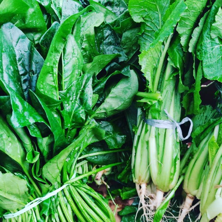 136987290_1920205041452581_5963135756773160834_o.j