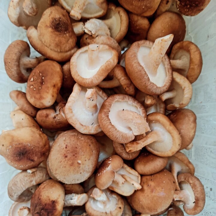 561360220_18503338561066958_1938556437504973163_n.