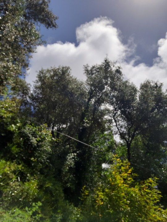 20210512_142338.jpg 20210512_142338.jpg