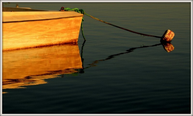 _MG_2398 momento de calma.jpg