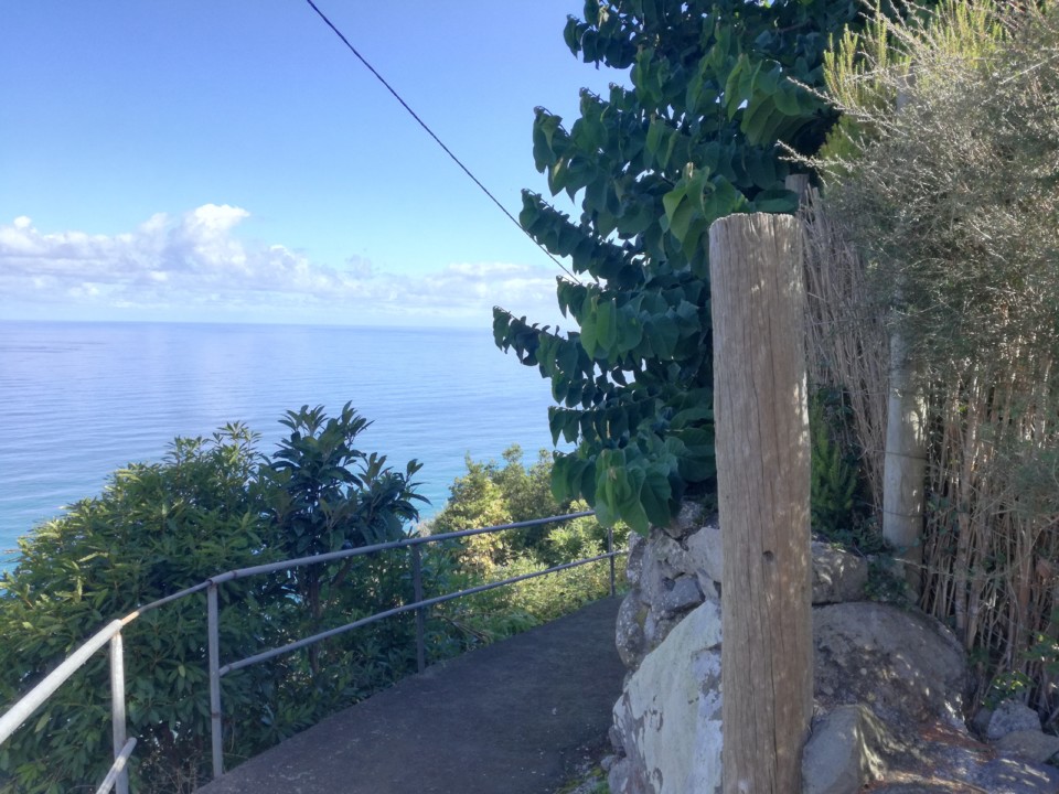 IMG_20191016_115536.jpg IMG_20191016_115536.jpg