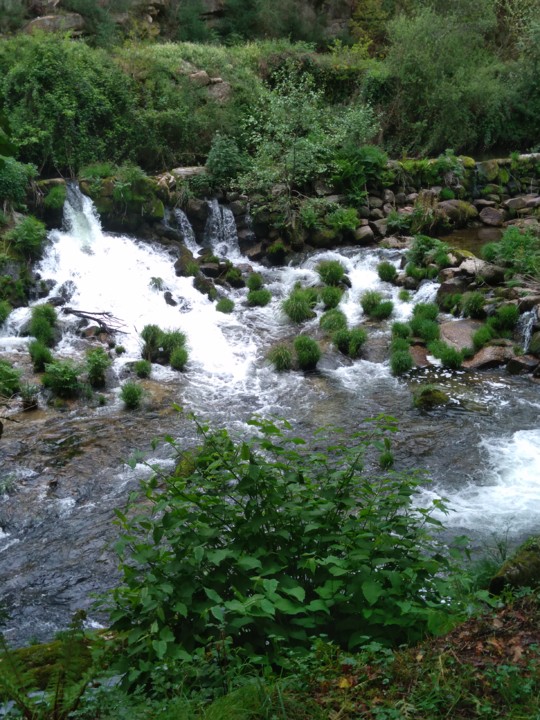 IMG_20210402_115546.jpg IMG_20210402_115546.jpg