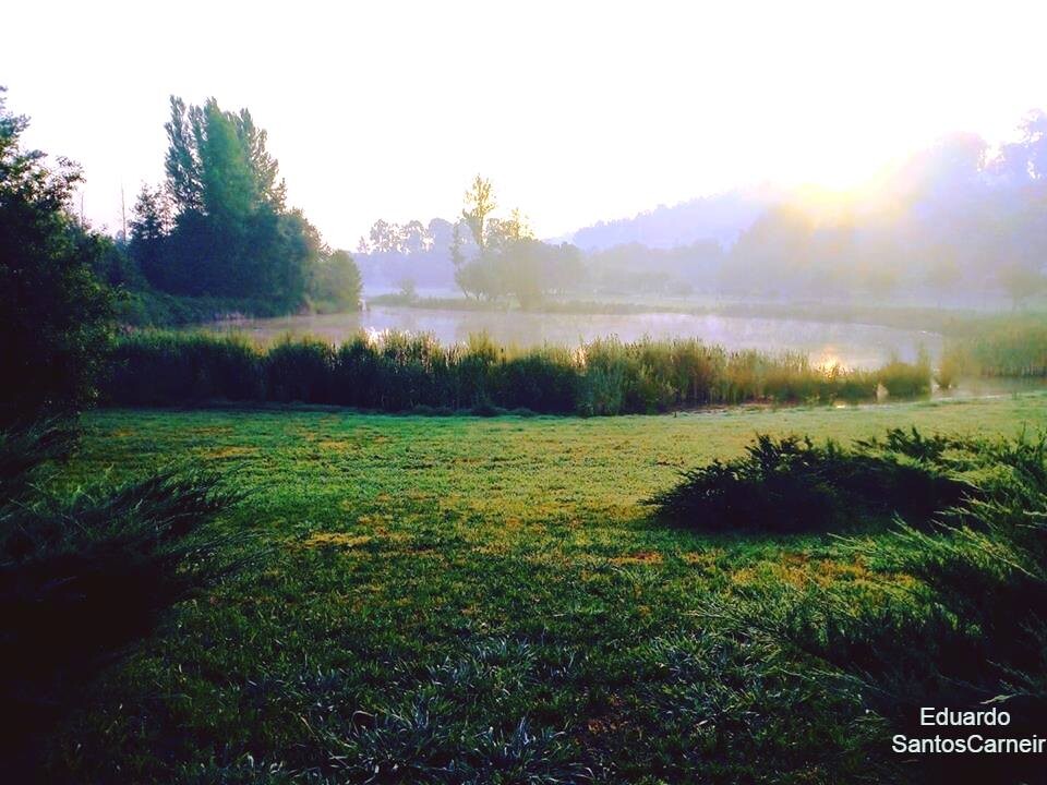 parque da devesa EC.jpg