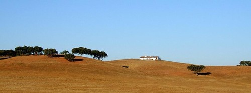 Alentejo #1.jpg