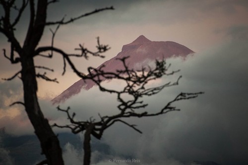 Foto: Fernando Reis.