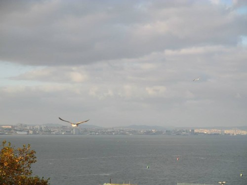 10403198_10203956258525421_7462627407660475569_n.j