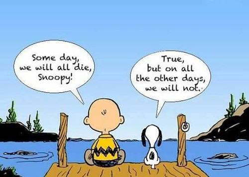 12316202_1083485371661501_1932602972771181476_n.jp