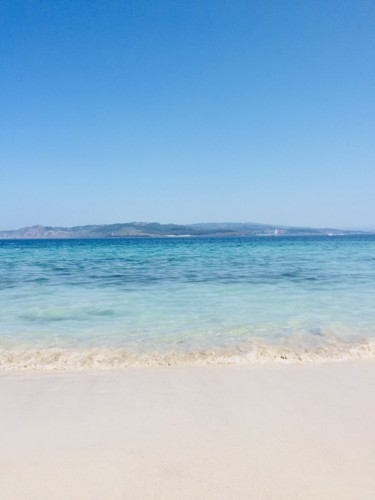 IMG_7168.jpeg IMG_7168.jpeg