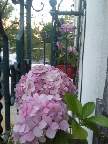 Solar Zagallos Almada - Foto original DAPL.  2015jpg