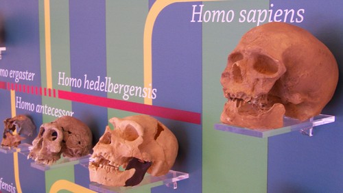 Cópia de 100_6314.JPG