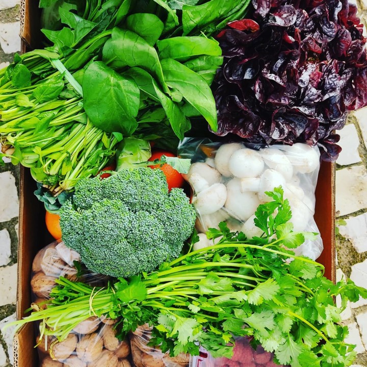 129775977_1892394267566992_204563288143271731_o.jp