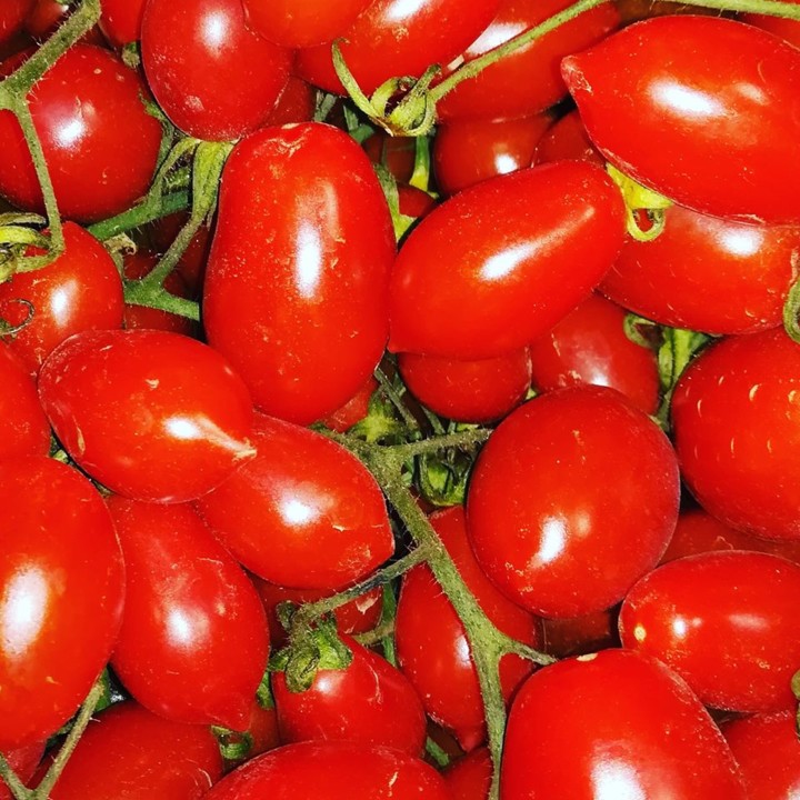 58570710_1357890984350659_5920653275559886848_n.jp