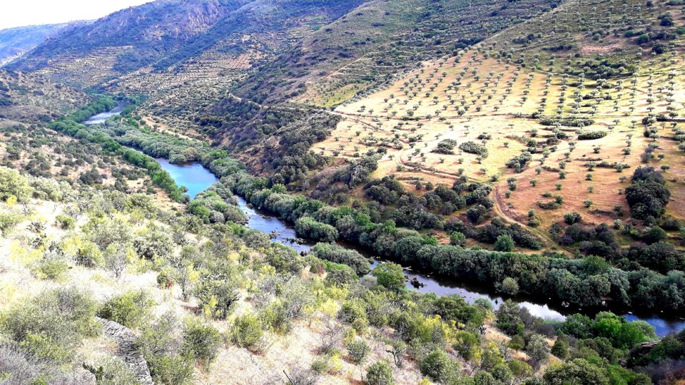 20200420_001532.jpg 20200420_001532.jpg