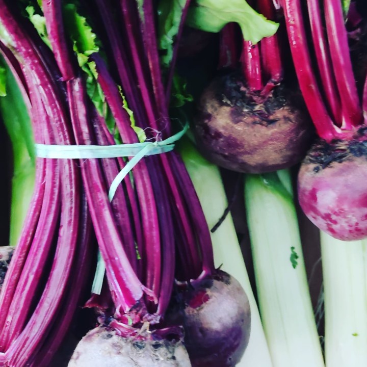 256374422_2165884353551314_1211955427929379436_n.j