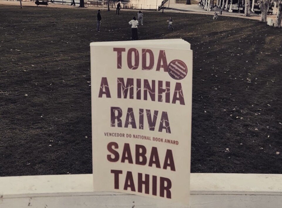 toda a minha raiva.jpg