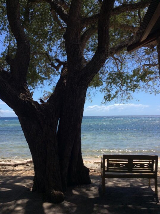 Somos privilegiados em com beach resort -timor