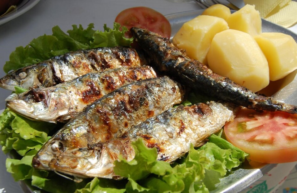 sardinha assada.jpg
