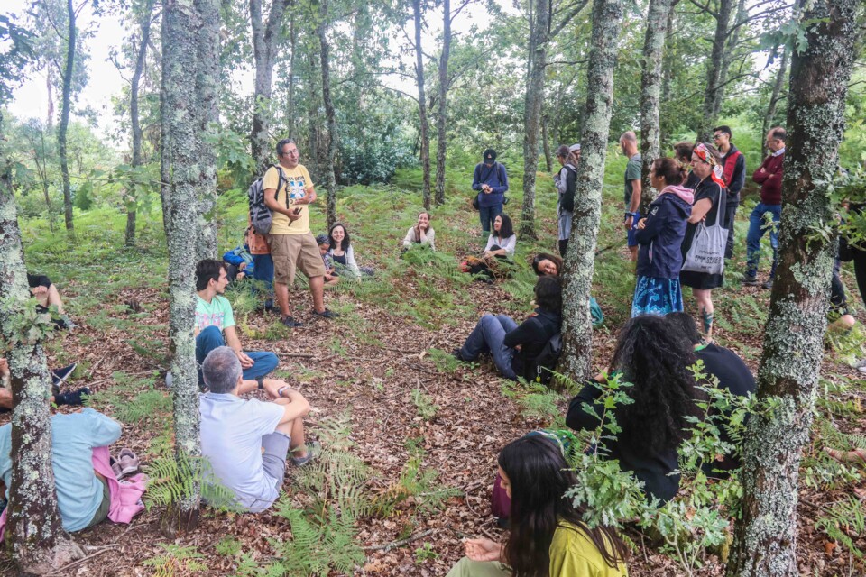 paulo pereira 2 a.jpg