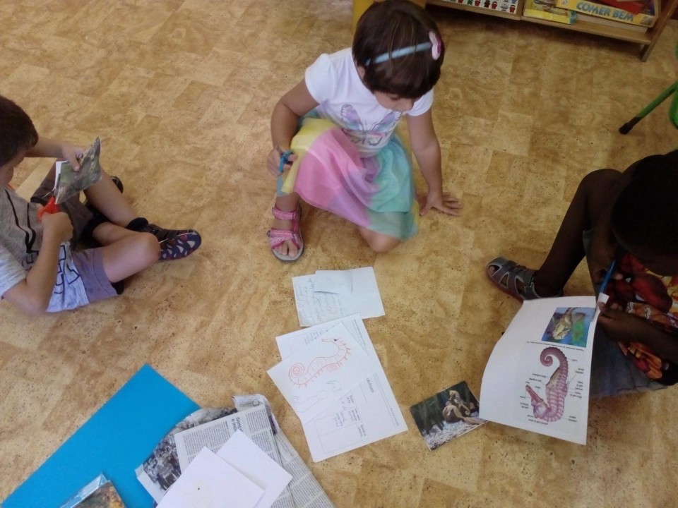 119420294_244815010158138_4218390446872957886_n.jp