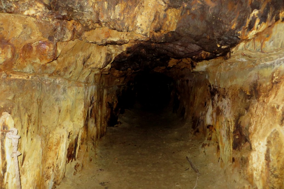 IMG_3467.JPG IMG_3467.JPG