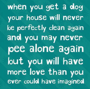when-you-get-a-dog-your-house-will-never-be-988298