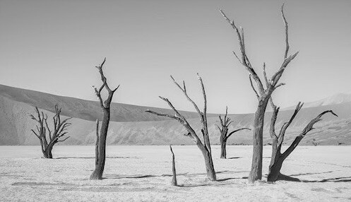 Captura de ecrã 2025-11-10, às 14.34.46.jpeg