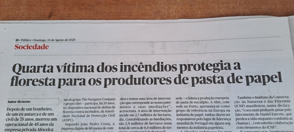 Sem título.jpg