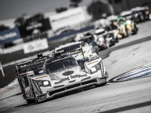 17522893_1292476504176778_7622727456106568395_n.jp