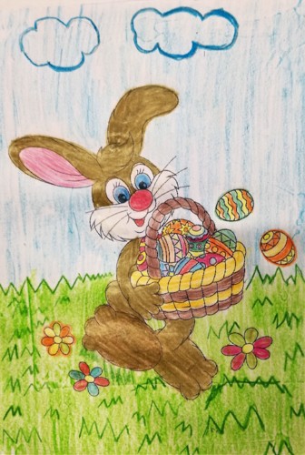 IMG_20180323_121511.jpg IMG_20180323_121511.jpg