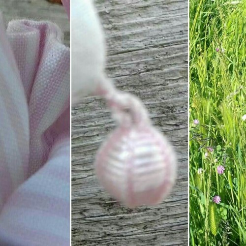 35050496_1918454481520842_7632835004493463552_n.jp