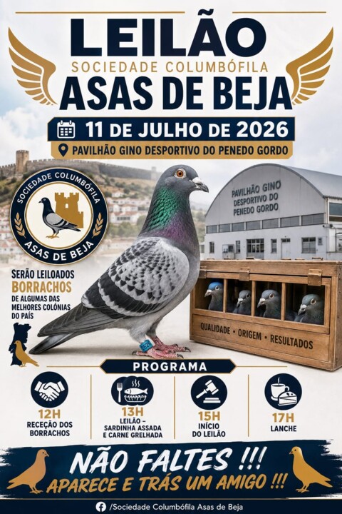 11 julho beja.jpg
