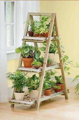 suporte plantas