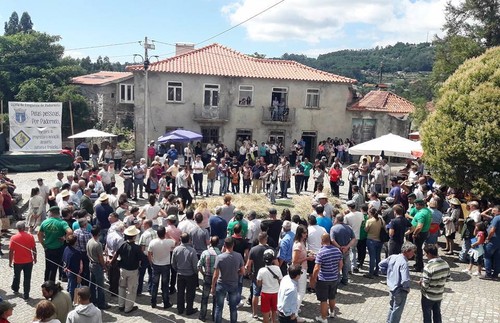 Padornelo Feira dos Tojais 2017 i.jpg