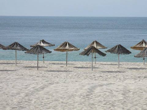 12931046_10207302638382826_2161788305993652555_n.j