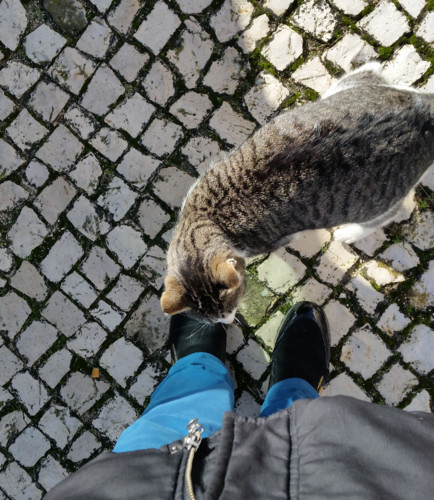 Alonepedepapa.jpg Alonepedepapa.jpg