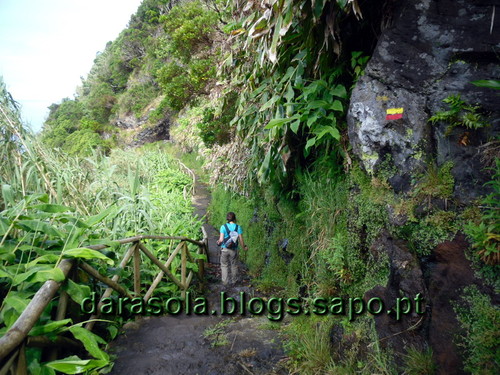 azores_flores_faja_lopo_Vaz_09.JPG azores_flores_faja_lopo_Vaz_09.JPG