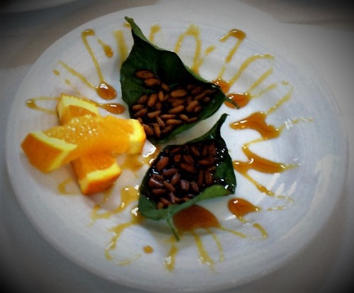 DSC07541 recortada.jpg DSC07541 recortada.jpg