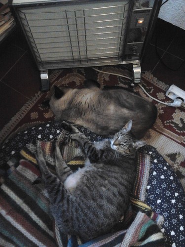 2014-12-27 16.00.34.jpg